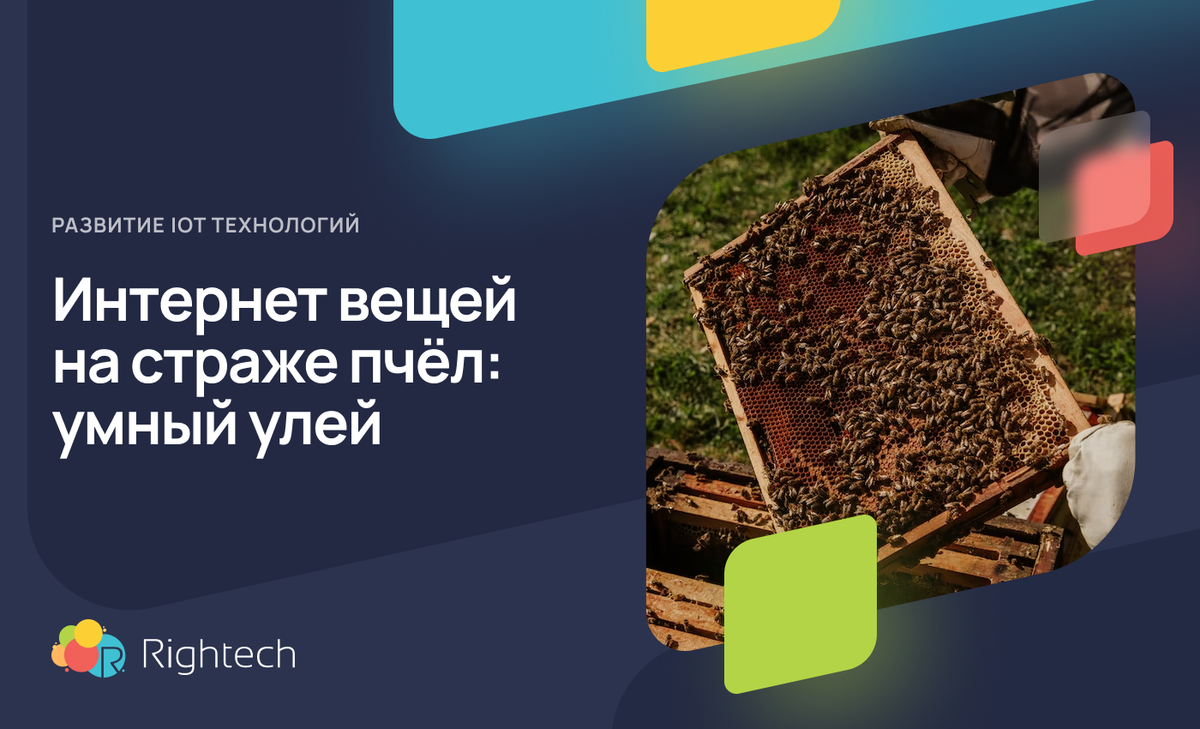 Сколько различных датчиков в умном улье