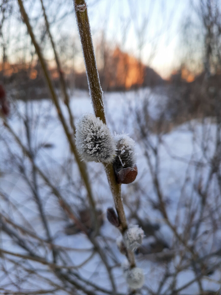 фото из личного архива