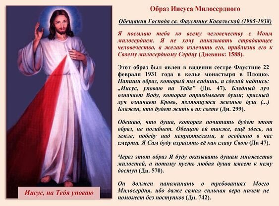 Из открытых источников интернета