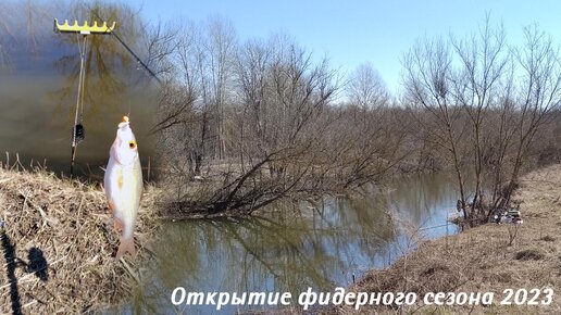 Летние жерлицы на щуку, делаем своими руками