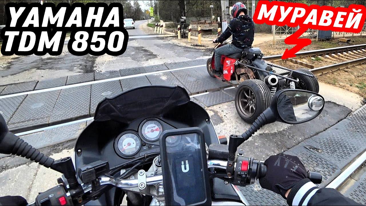 Обзор Yamaha TDM 850 и гонка с Муравей 700