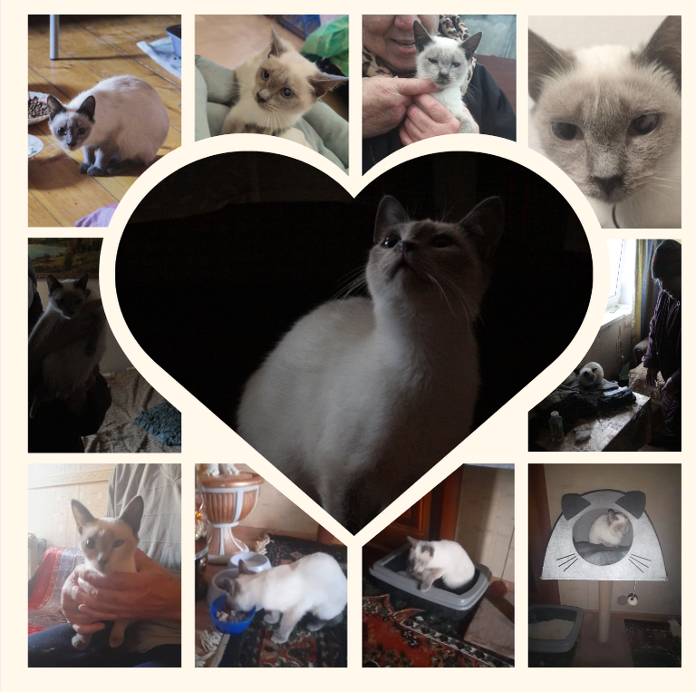 Из личного архива Симы