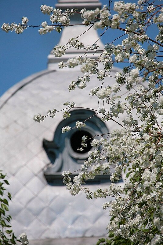 Сибирь, Алтайский край, г Барнаул. Фото: Андрей Кочкин