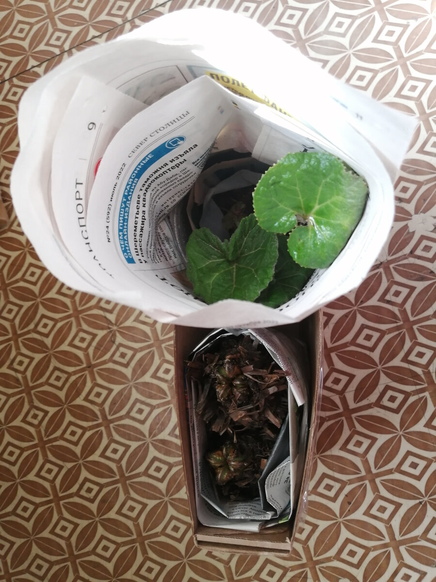 Собираю для покупателя. Приехал за заказом мальчик, мама его попросила забрать