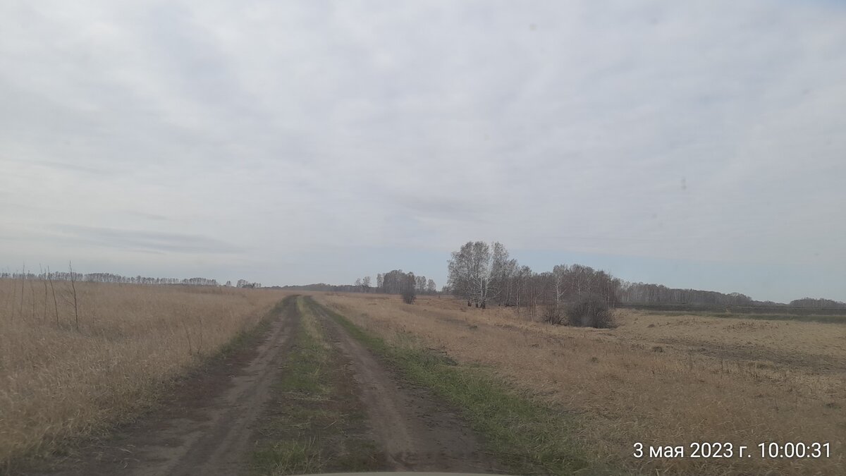 поля