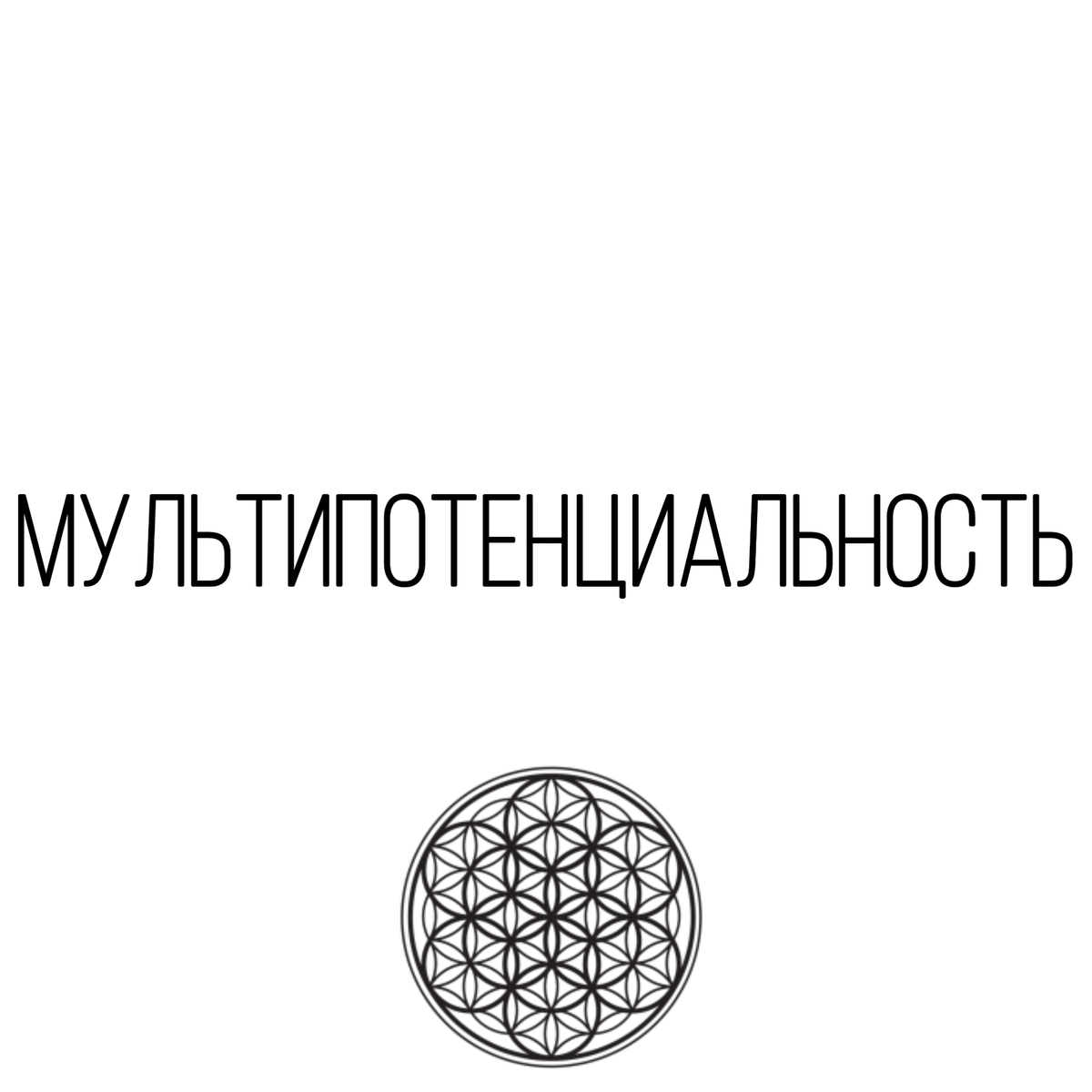 А вы мультипотенциальны или вам проще делать что-то одно, а от множества проектов вы выгораете?Картинка автора