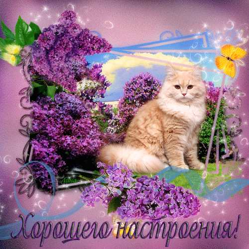 Источник: Яндекс картинки