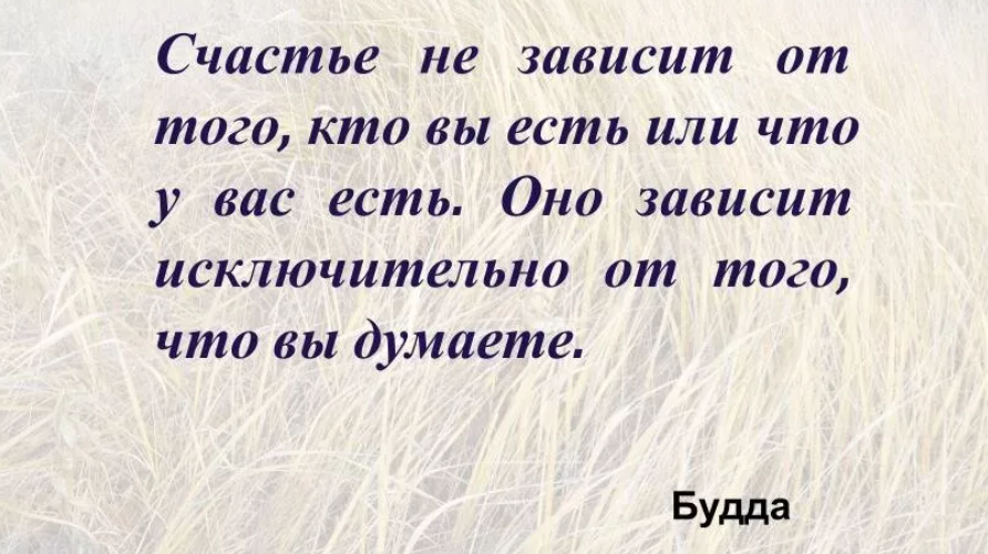 В чем счастье человека. Высказывания великих о счастье. Высказывания о счастье. Цитаты великих людей о счастье. Высказывания людей о счастье