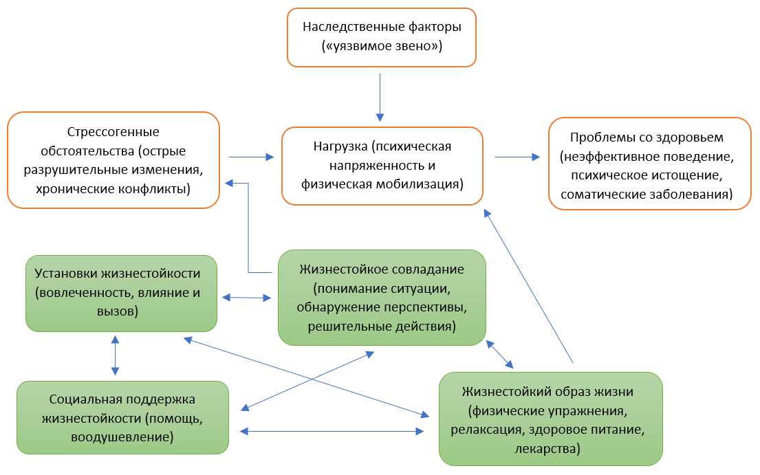 Модель жизнестойкости по С.Р. Мадди.