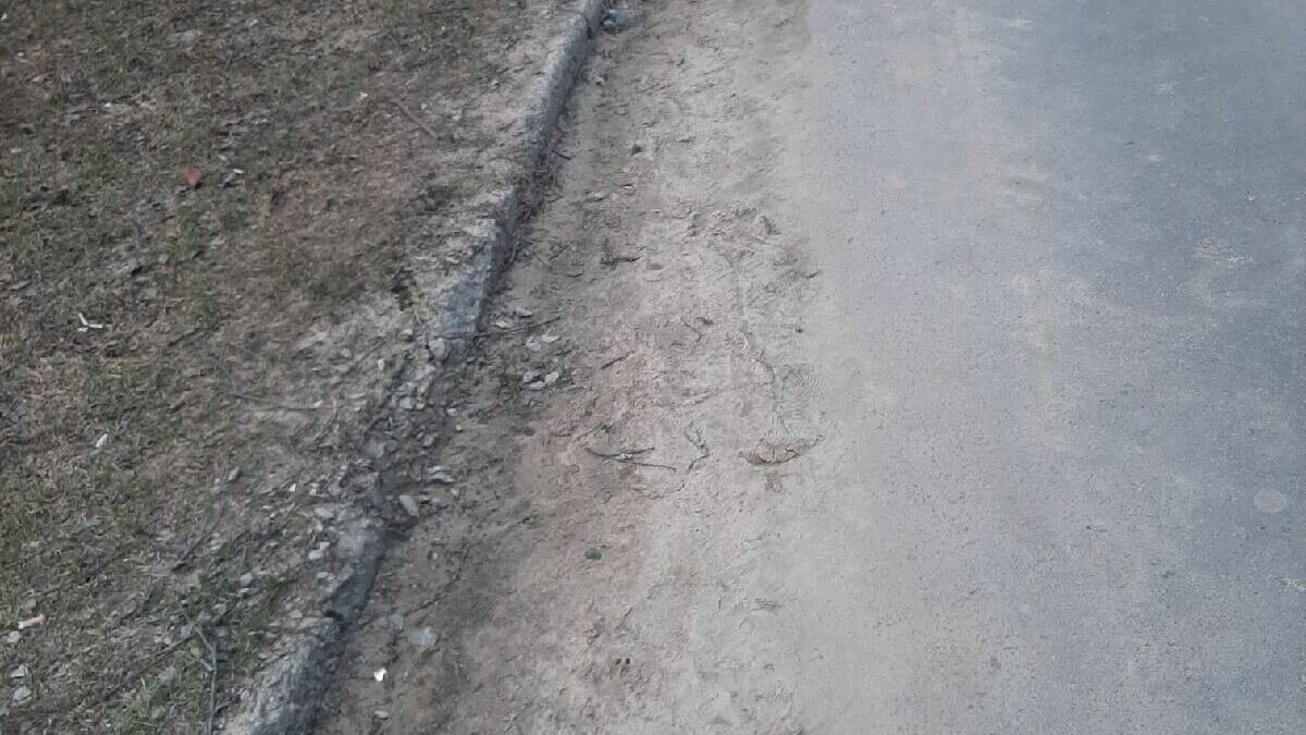     Жители карельской столицы не перестают возмущаться песком и пылью на улицах города. По словам горожан, в одном из районов ситуация требует особого внимания.