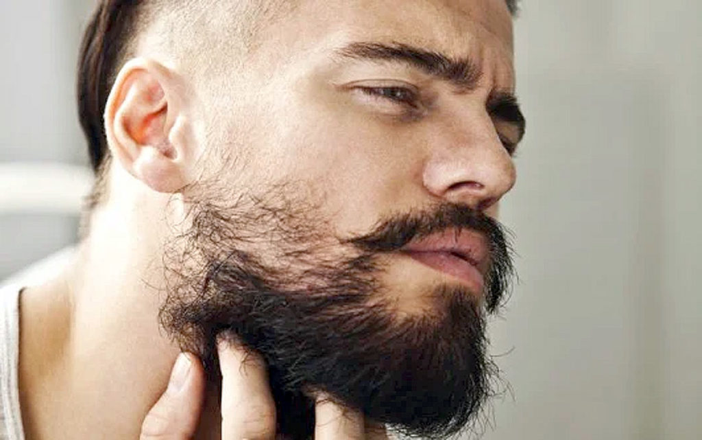 Фотография взята из источника yandex.ru 