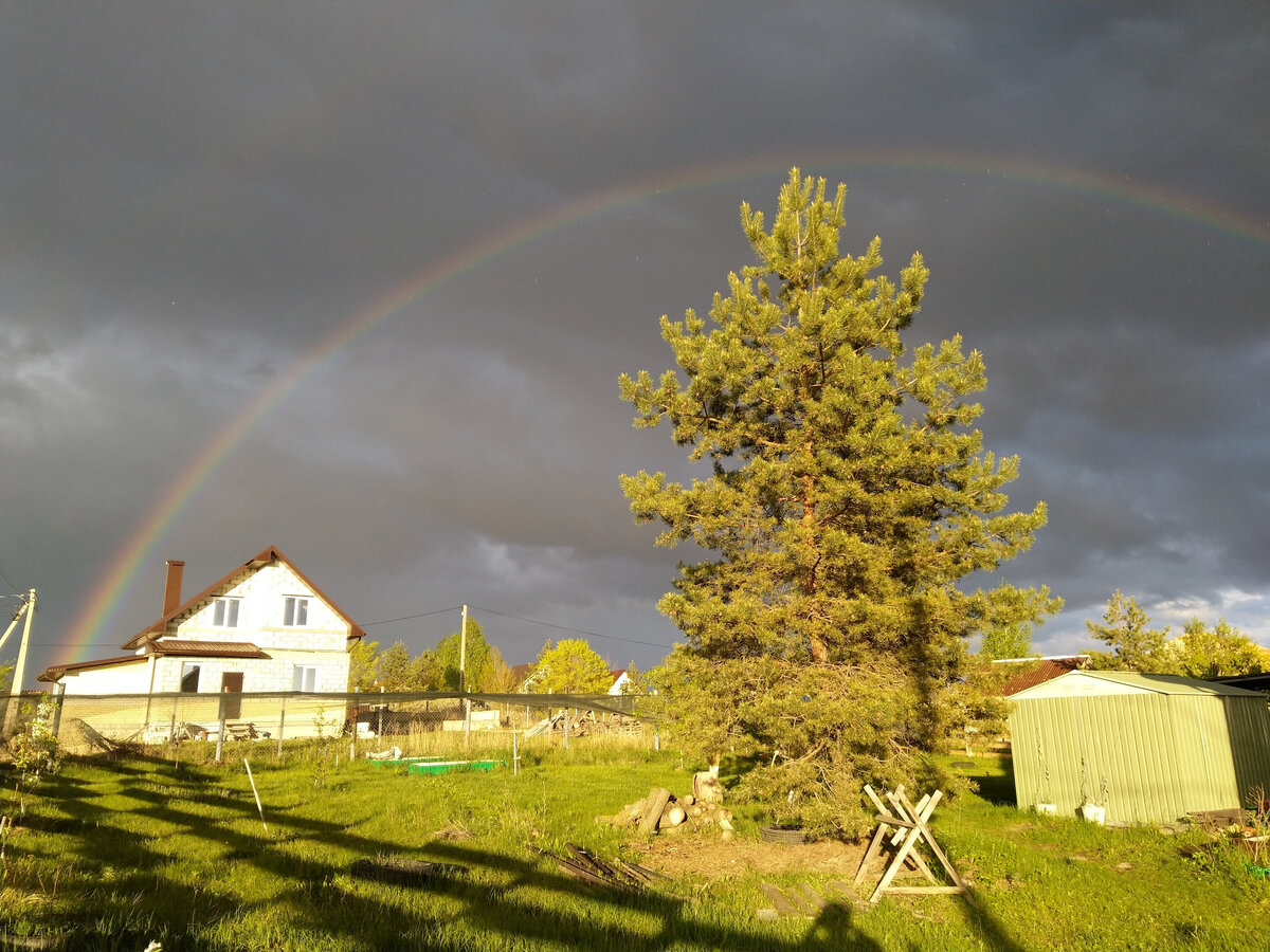Фото сделано 9 мая пару лет назад. Мне кажется, победа - это как радуга в ужасных тучах. Небо не становится чистым за секунду, но грозе конец.