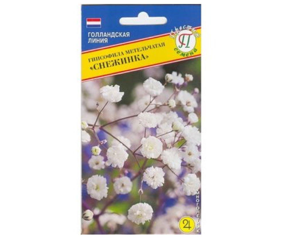 У растения сорта Снежинки красивые белые цветочки и пышный куст (источник фото: wildberries.ru)