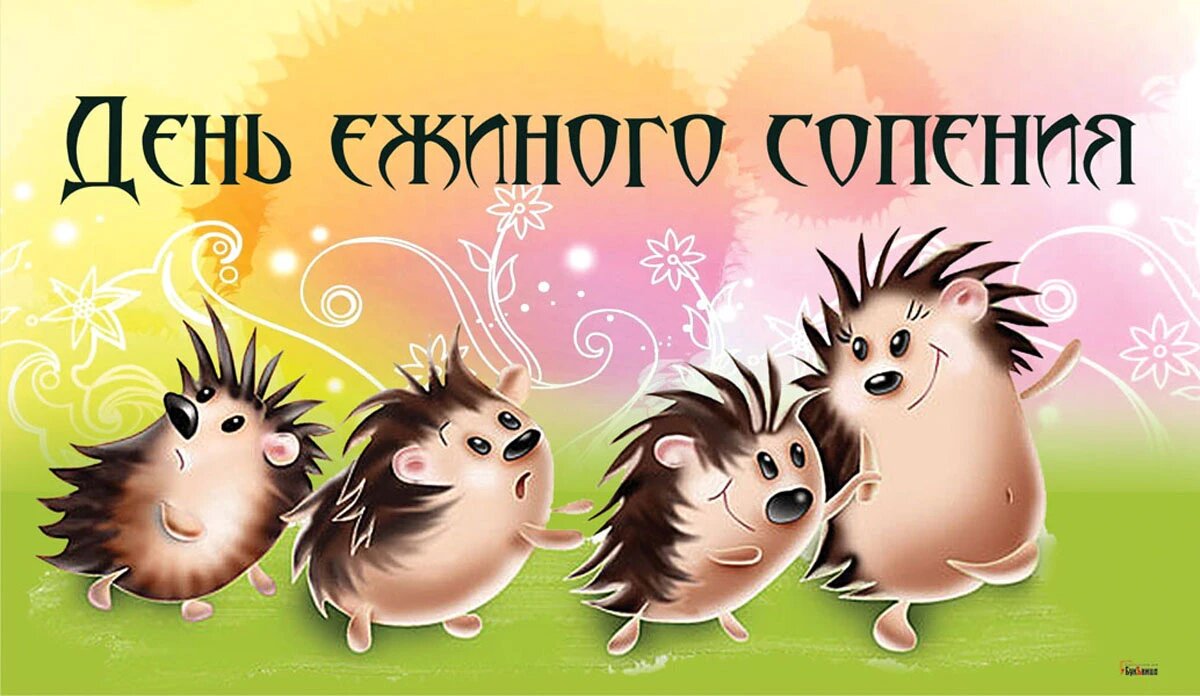 День ежиного сопения картинки