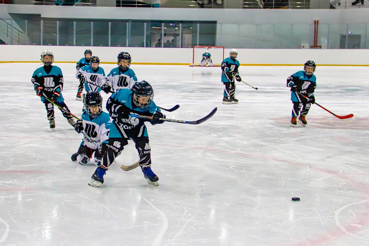 турнир по хоккею среди детей 2014