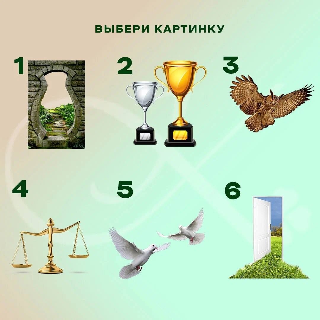 выберите картинку