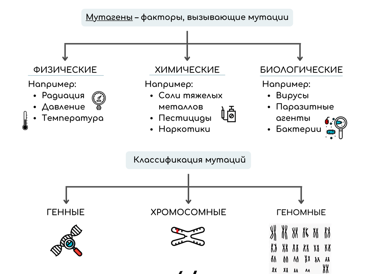 Что такое мутация генов?