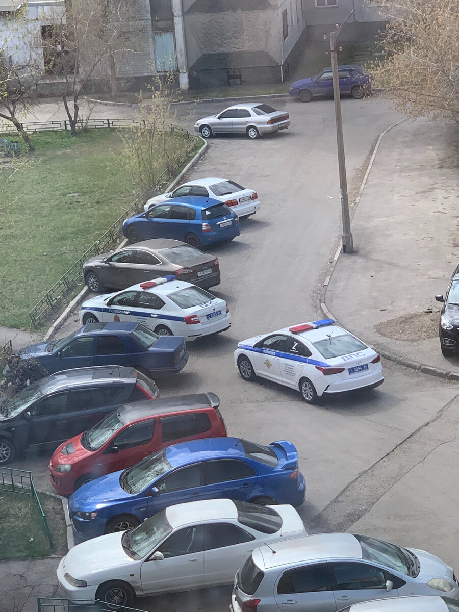 Понаехал полный двор