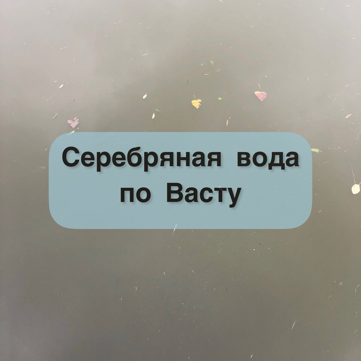 Серебряная вода. Рецепт. | ОКЕАН ВАСТУ | Дзен