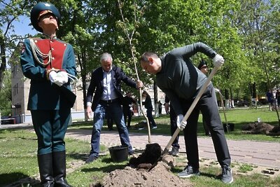    Акция "Лес Победы" в Балашихе © Страница «Администрация г.о. Балашиха» во «ВКонтакте»