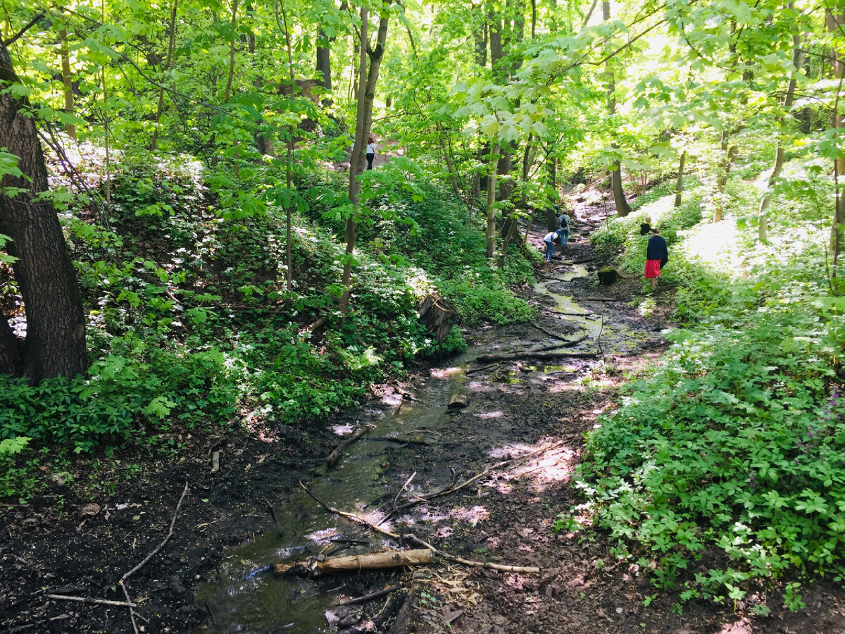 Участники группы ищут белемниты. Фото автора 