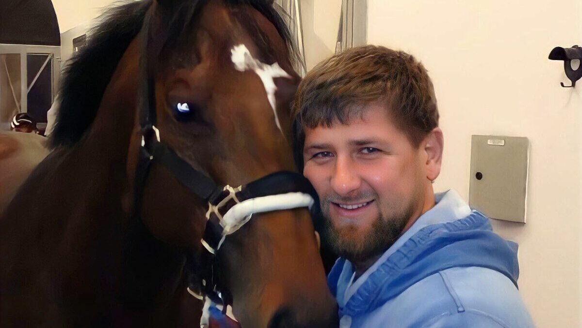     В Ростове одна из турбаз приняла жеребца Рамзана Кадырова Зазу, которого выкупили у украинских спецслужб после восьми лет ареста в Чехии, об этом сообщили в СМИ.