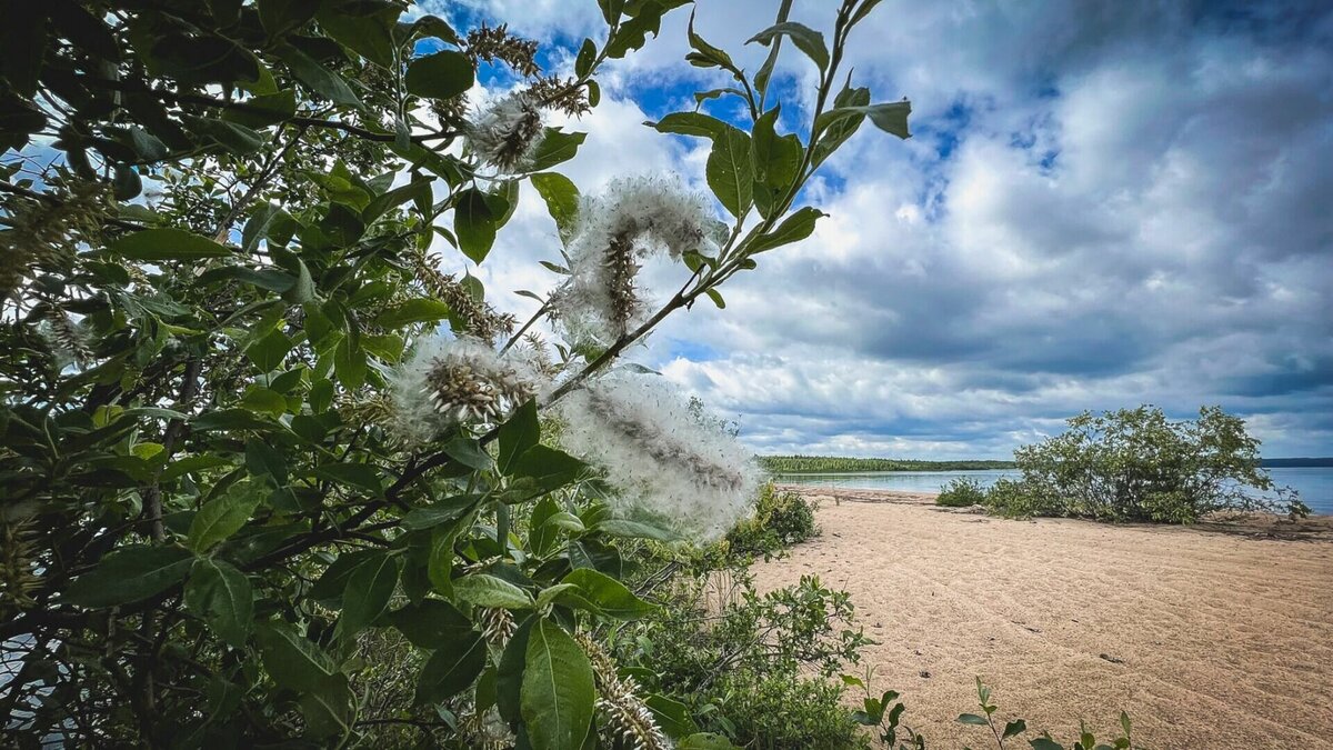     В преддверии жаркого сезона традиционно повышается риск подхватить опасное заболевание. «НовостиВолгограда.ру» составили список инфекций, к которым нужно относиться максимально серьёзно.