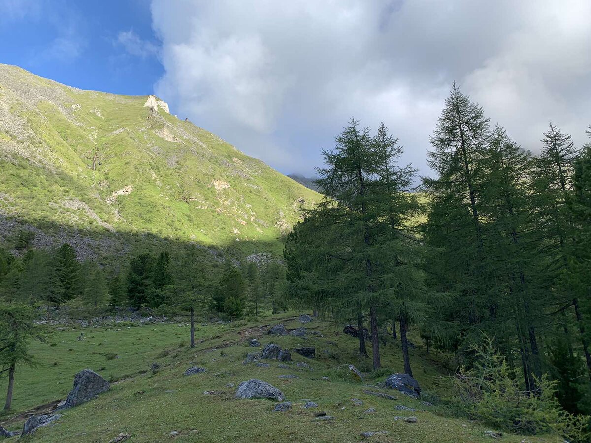 доброе утро!