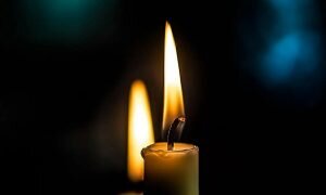    Фото: Pixabay Владислав Кава