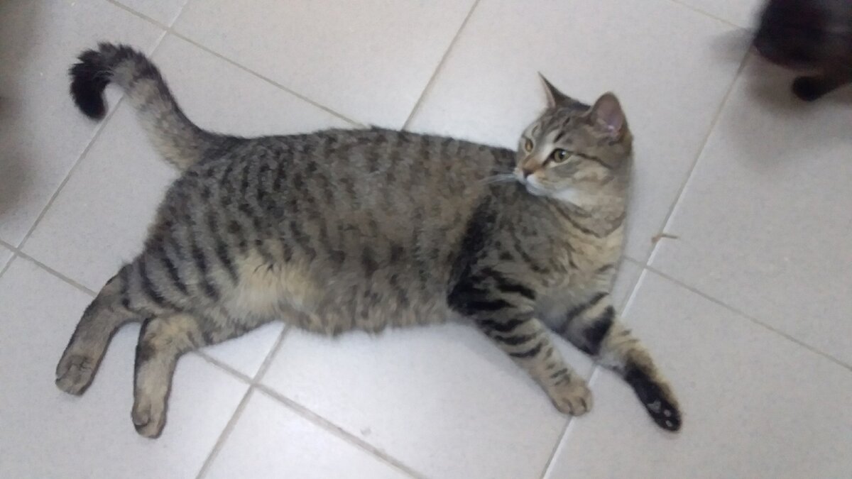 ИЗ КРАЙНОСТИ В КРАЙНОСТЬ | Благотворительный фонд "ТОТОШКА" | Дзен