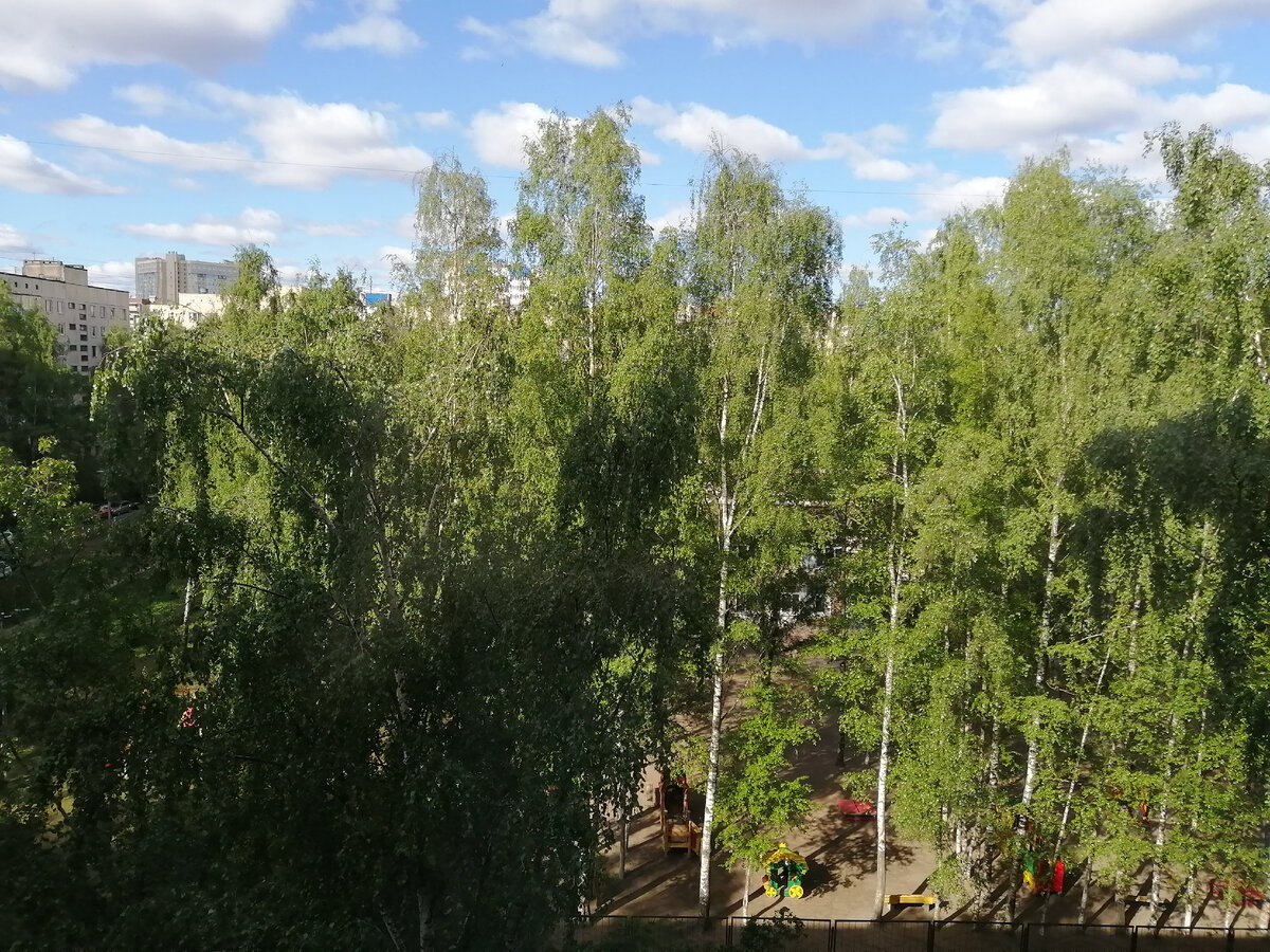 Утро 19 мая 2023.