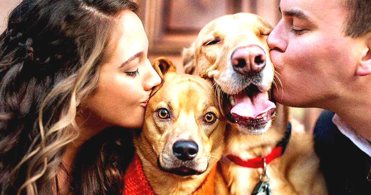 Забота о собаке. Мужчина с собакой. Хозяин собаки. Человек с питомцем. Со своим домашним питомцем.