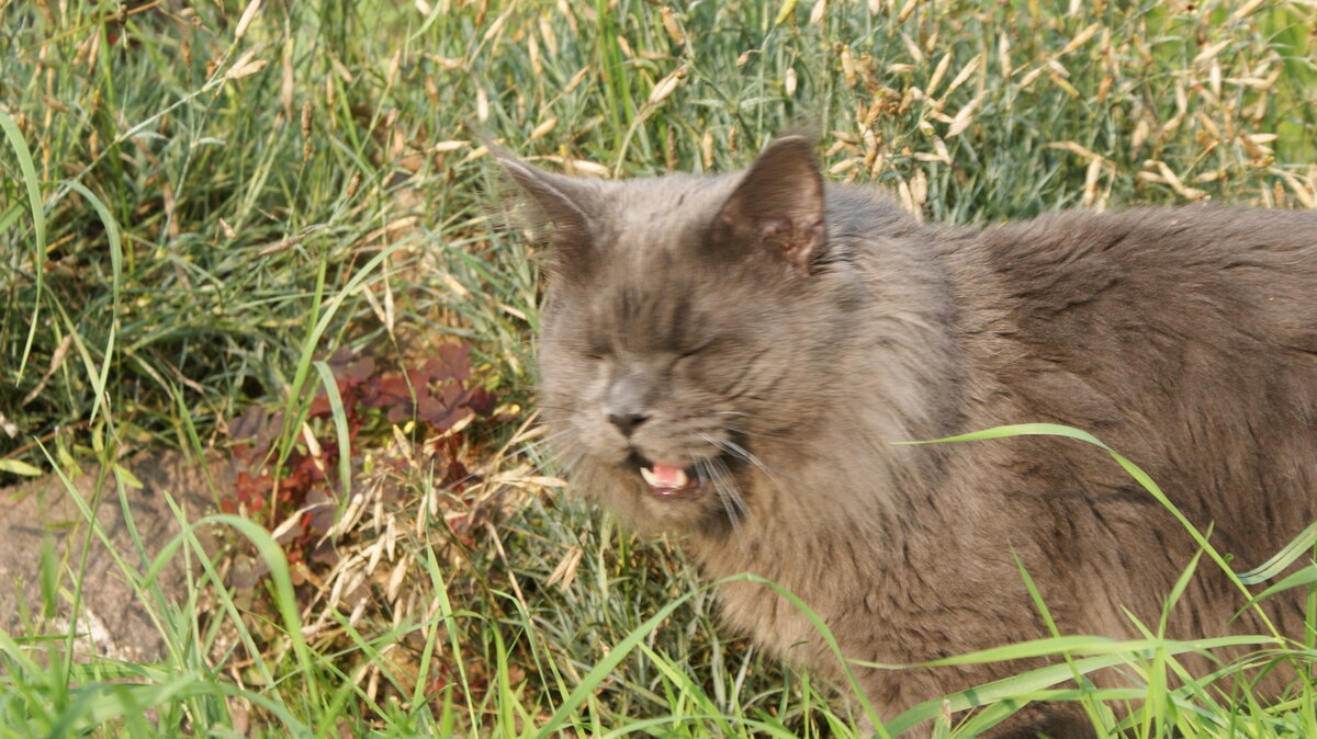 Фото из личного архива.