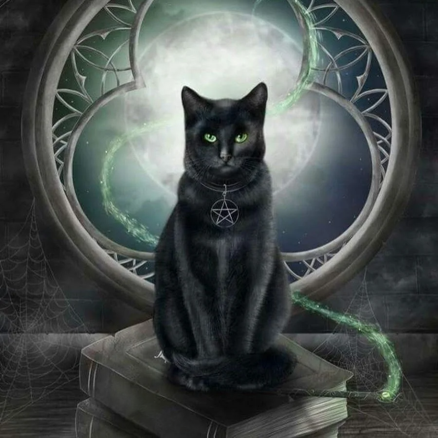 Мистика. Фамильяр ведьмы черный кот. Фамильяр ведьмы кот. Коты Фамильяры. Мистические кошки.