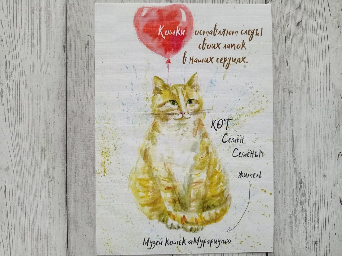 �������� �������� ���������