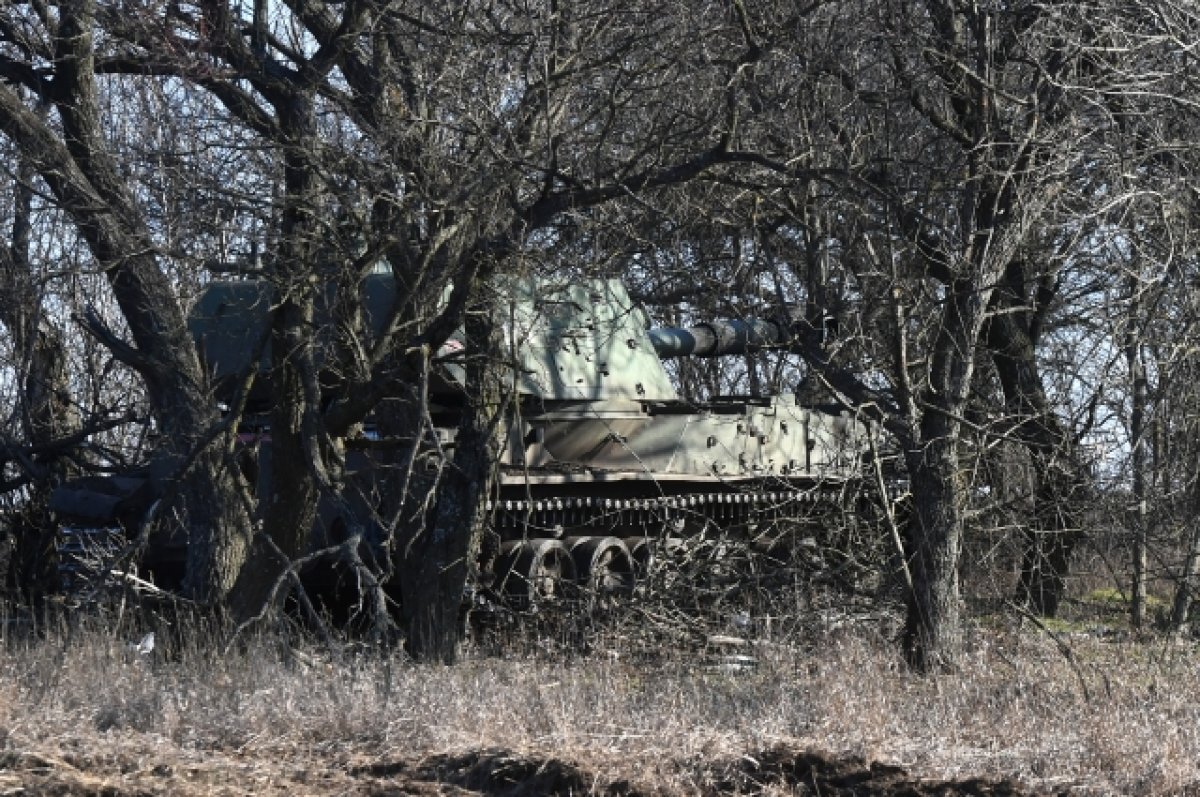    ВС РФ уничтожили под Херсоном миномет и САУ «Акация»