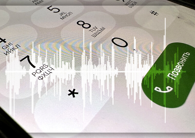    Записью разговора «Ромы и Коли» займется МВД