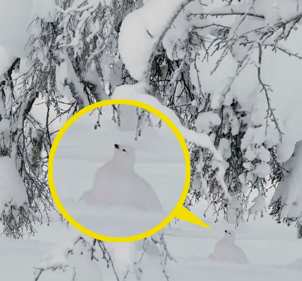 Редактировать галереюДобавьте описание