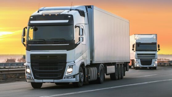    Кабмин РФ рассматривает вопрос запрета транзита польских фур Анастасия Романова