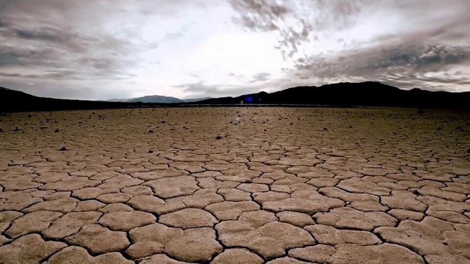 Фото: © Скриншот видео