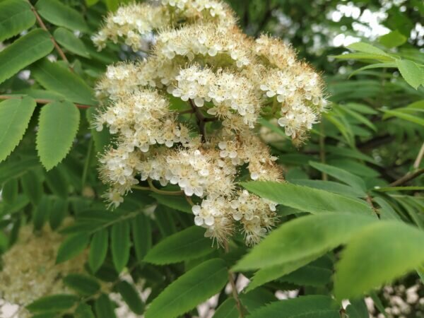    Фото: Екатерина Иванова. UG.RU