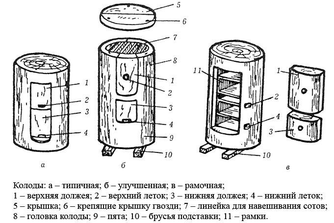 Изготовление пчелиной обиталища: пошаговое руководство