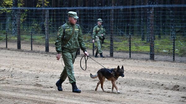    © Sputnik / Виктор Толочко