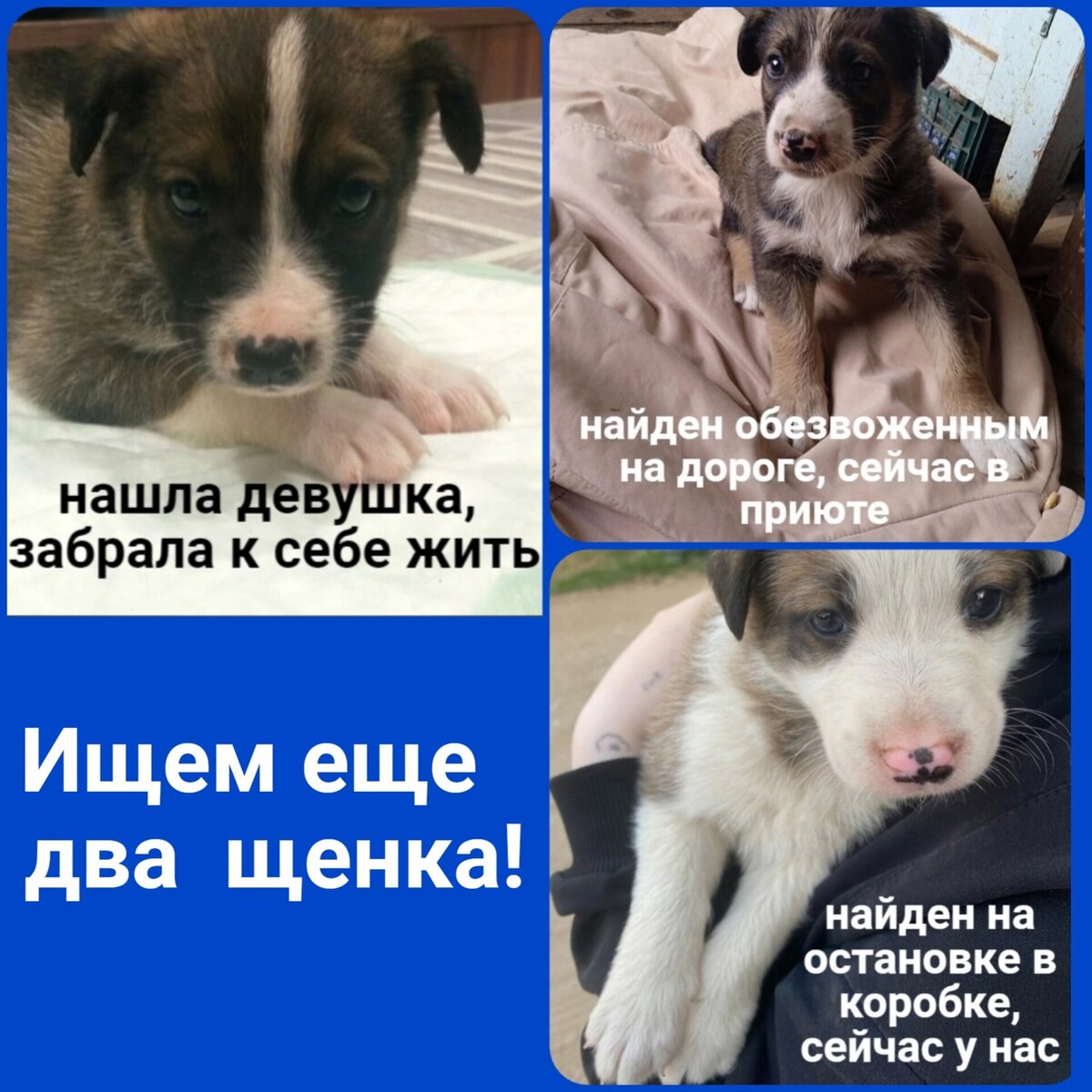 Пока не нашел