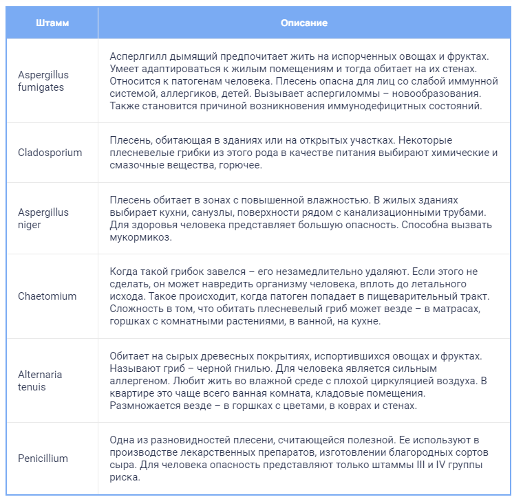 Сайт заблокирован хостинг-провайдером