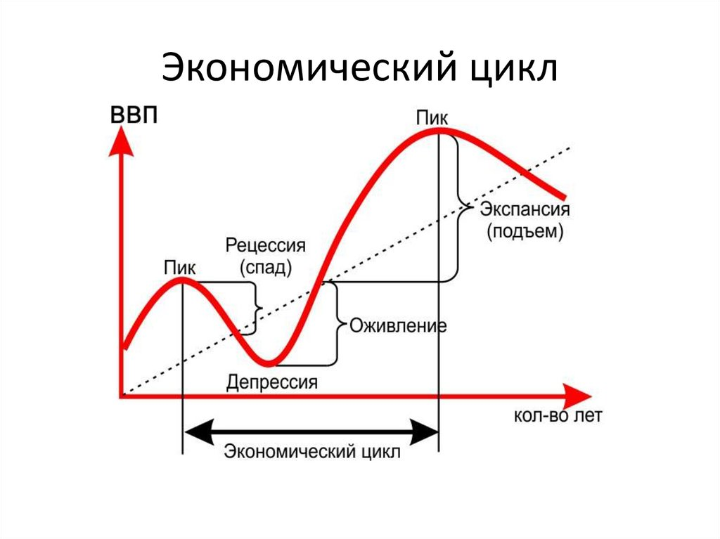 Открытые и закрытые циклы. Экономический цикл и его фазы. Фазы эк цикла. Фазы стадии экономического цикла. Спад экономического цикла.