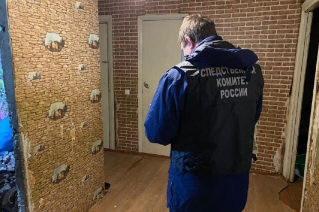 Отравились ядом. Саратовчанку подозревают в убийстве дочери и внуков