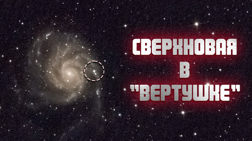 Яркая сверхновая в галактике Вертушка (М101)