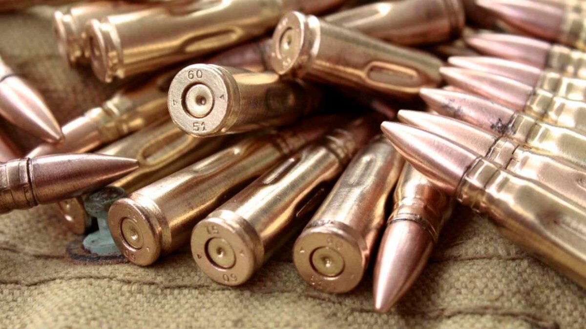    В России введен временный запрет на вывоз патронов и гильз