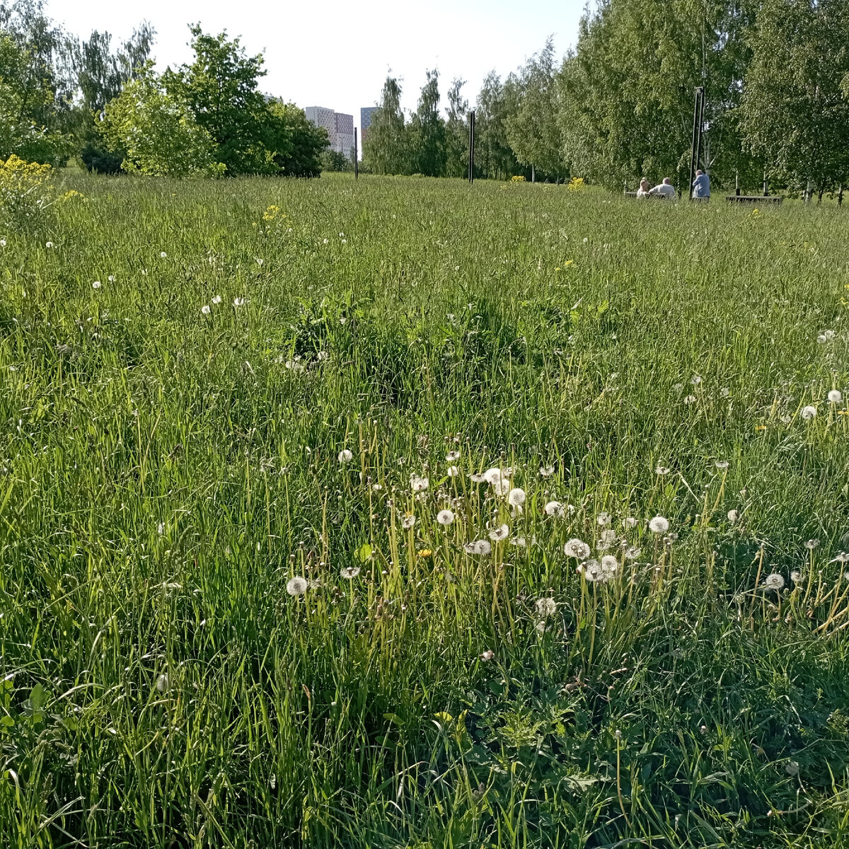 Митино